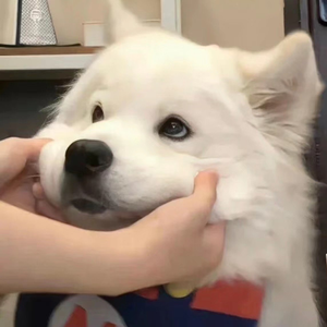 人人爱天天做夜夜爽88
