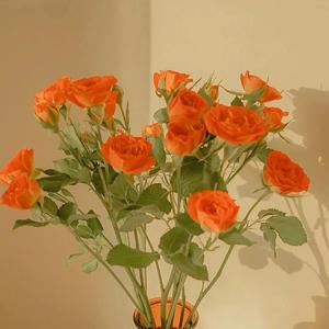 人人爱天天做夜夜爽88
