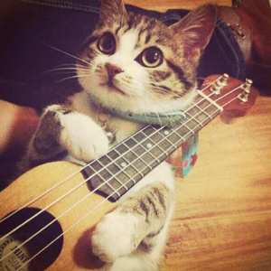 人人爱天天做夜夜爽88
